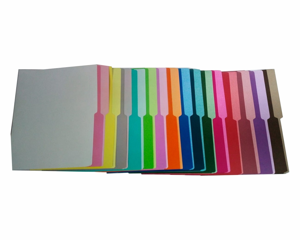 Folder 8.5 X 11 Ampo Colores La Rodali